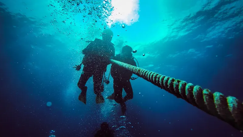 Deux plongeurs remontent le long d'une corde dans l'eau bleue