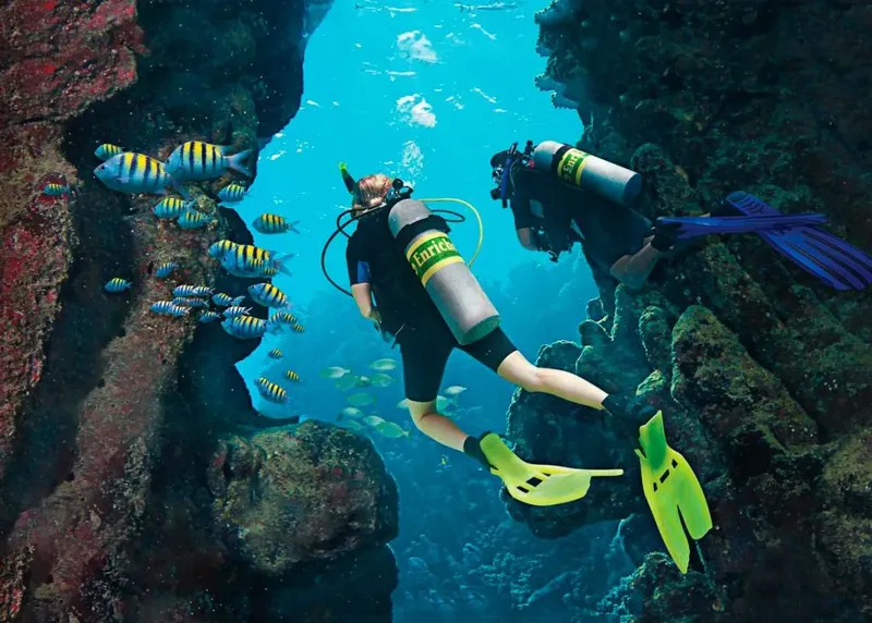 Deux plongeurs explorent un récif corallien avec des poissons tropicaux
