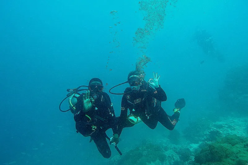 Deux plongeurs souriants font des signes de validation sous l'eau