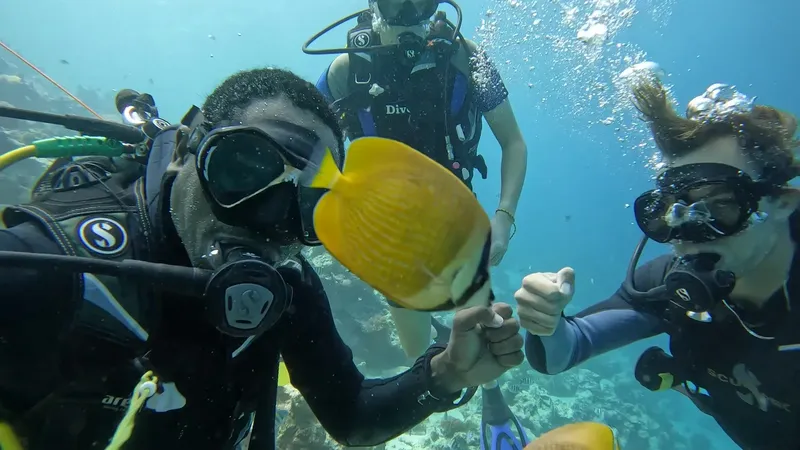 Plongeurs interagissent avec un poisson papillon jaune en milieu marin