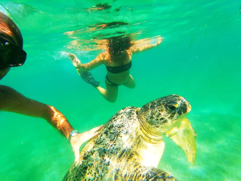 Plongeuse et tortue marine nagent ensemble dans une eau turquoise claire