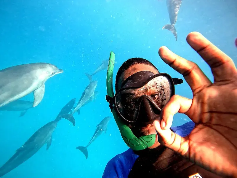 Plongeur avec masque et tuba entouré de dauphins dans l'eau bleue