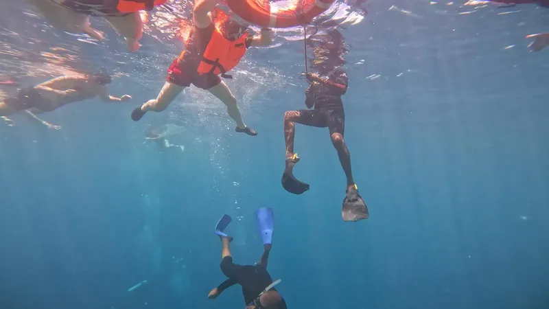Plongeurs en combinaison et gilet flottabilité explorent les fonds marins