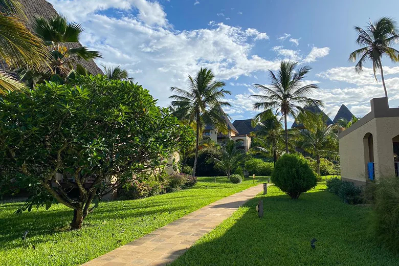 Allée bordée de végétation luxuriante menant à des bâtiments tropicaux