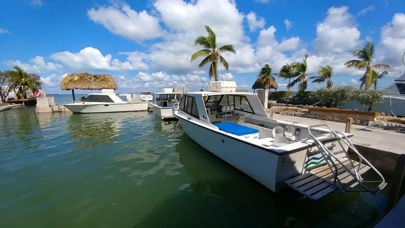 Plusieurs bateaux de plongée amarrés dans un port ensoleillé