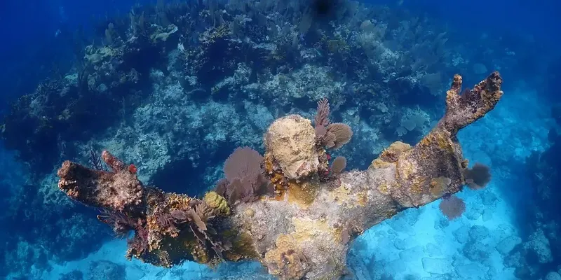 Épave recouverte de coraux et d'algues sous l'eau bleue claire