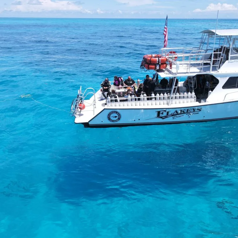 Plongeurs sur un bateau blanc en mer, équipement visible
