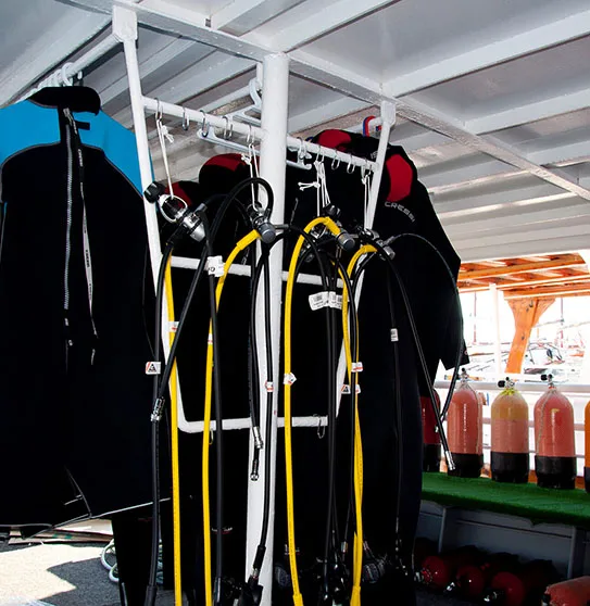 Rangée de combinaisons de plongée noires et bleues avec détendeurs