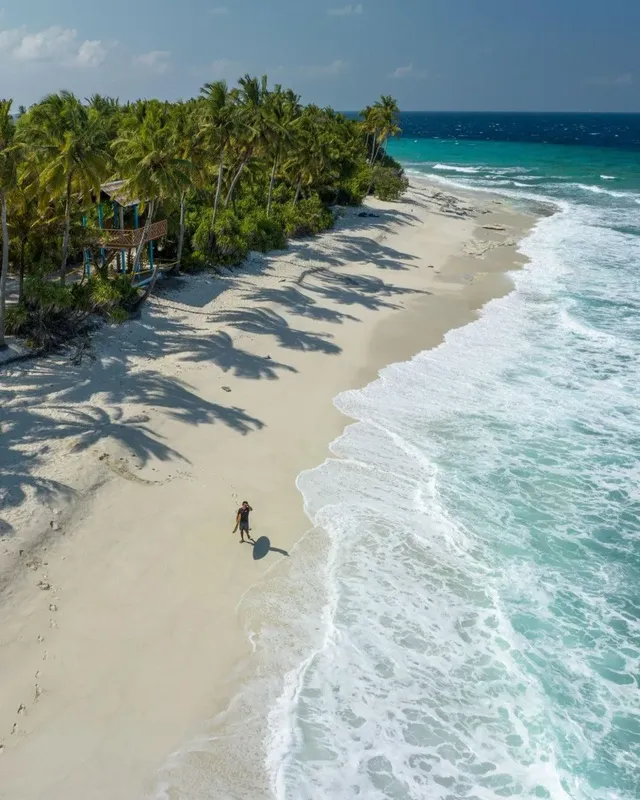 Plage de sable blanc, cocotiers, une personne marche au bord de l'eau