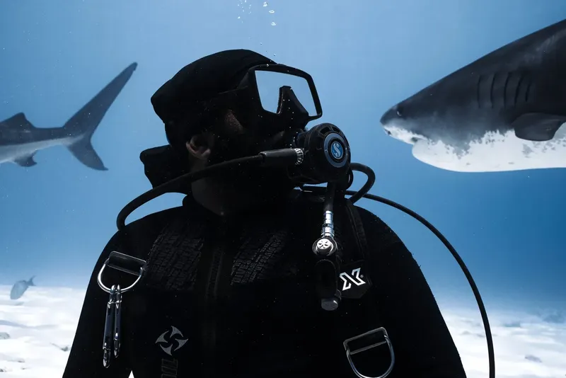 Plongeur face à des requins dans l'eau bleue profonde