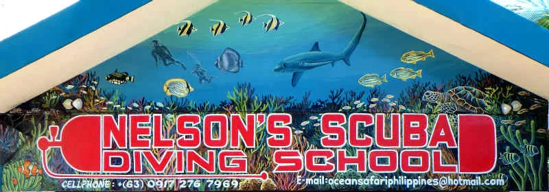 Peinture murale avec requin, poissons tropicaux et inscription plongée