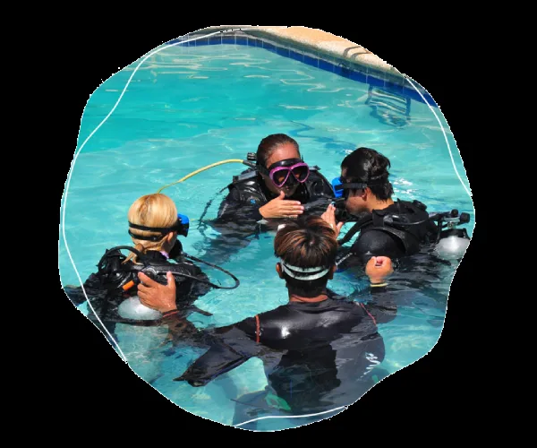 Quatre plongeurs en formation dans une piscine, équipement complet visible