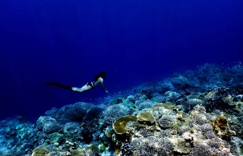 Apnée : une nageuse explore un récifal corallien bleu profond