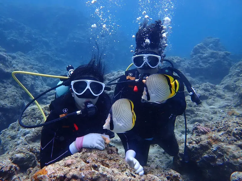 Deux plongeurs souriants interagissent avec un poisson dans l'eau bleue