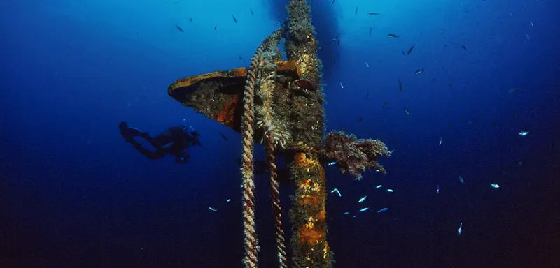 Plongeur explorant une épave métallique recouverte de vie marine