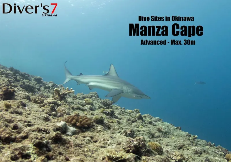 Requin de récif à Manza Cape, Okinawa, plongée sous-marine