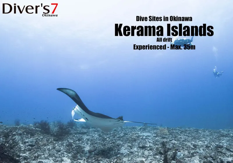 Raie manta nageant au-dessus d'un récifal corallien dans les îles Kerama