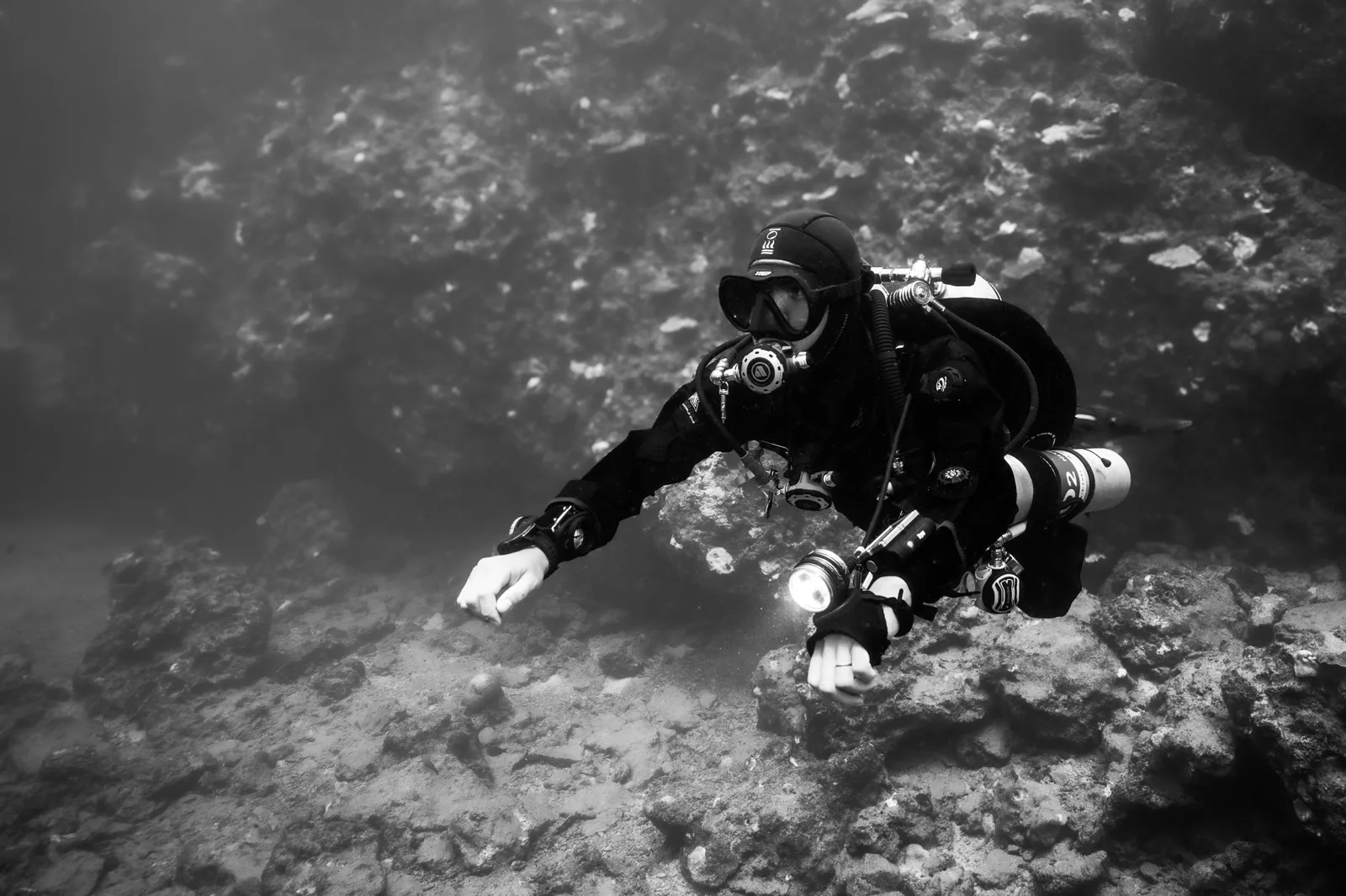 Diver’s 7