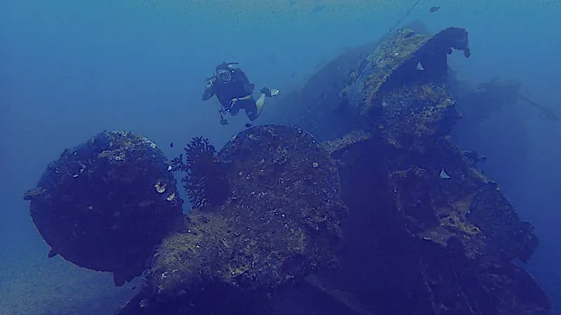 Plongeur explorant une épave recouverte de coraux en milieu marin