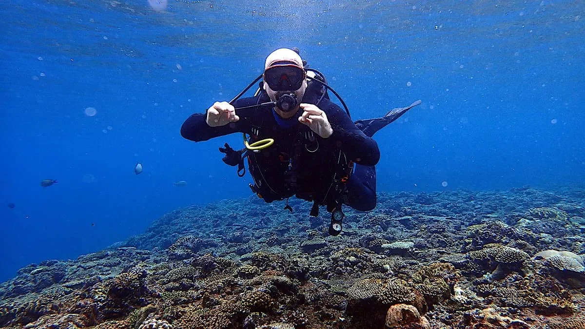Live For Diving