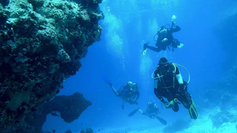 Quatre plongeurs explorent un récif corallien en eau bleue claire