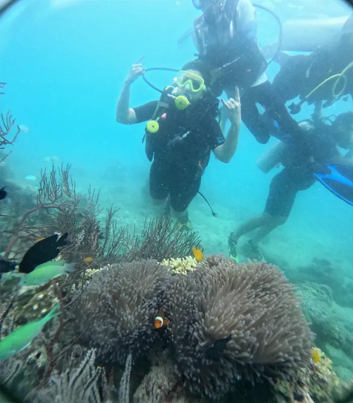 Plongeurs explorent un récif corallien avec des poissons colorés