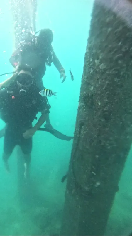 Plongeur explorant un pilier sous-marin avec quelques poissons tropicaux