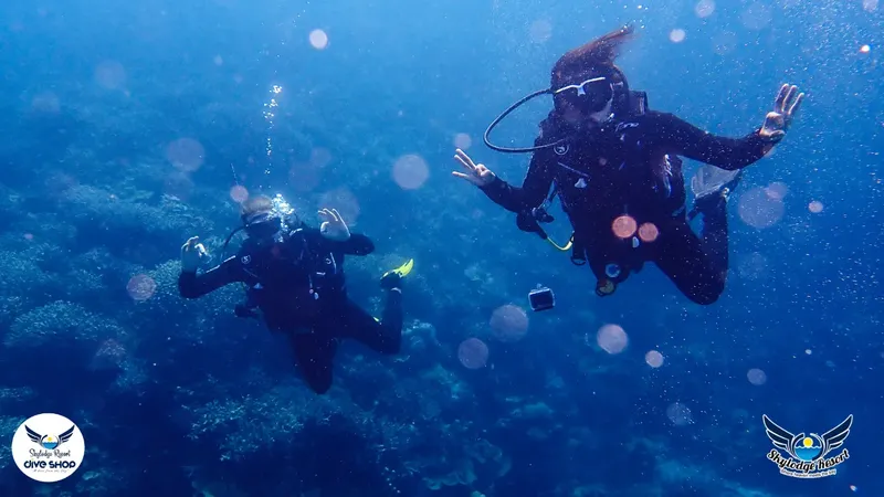 Deux plongeurs en scaphandre explorent les fonds marins avec des méduses