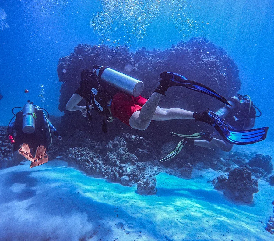 Deux plongeurs explorent un récifal corallien en eau bleue claire