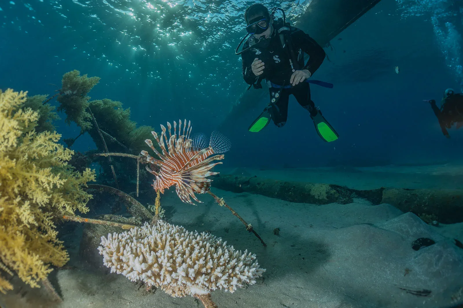 Lionfish Scuba Dive Center