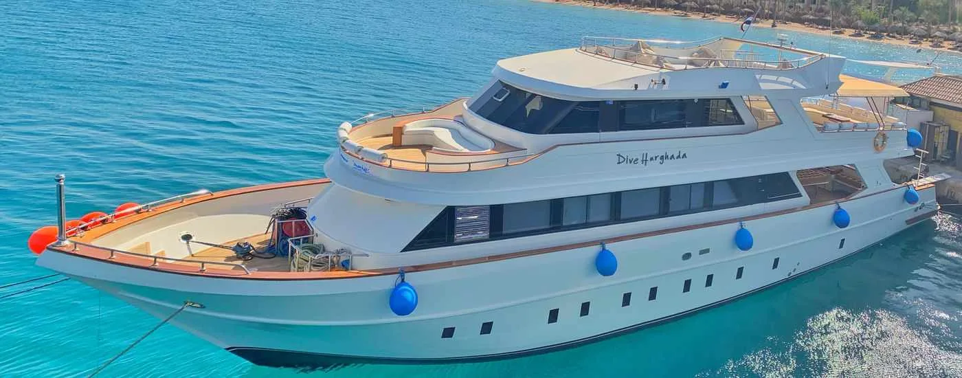 Grand bateau de plongée blanc et bleu amarré dans une eau turquoise