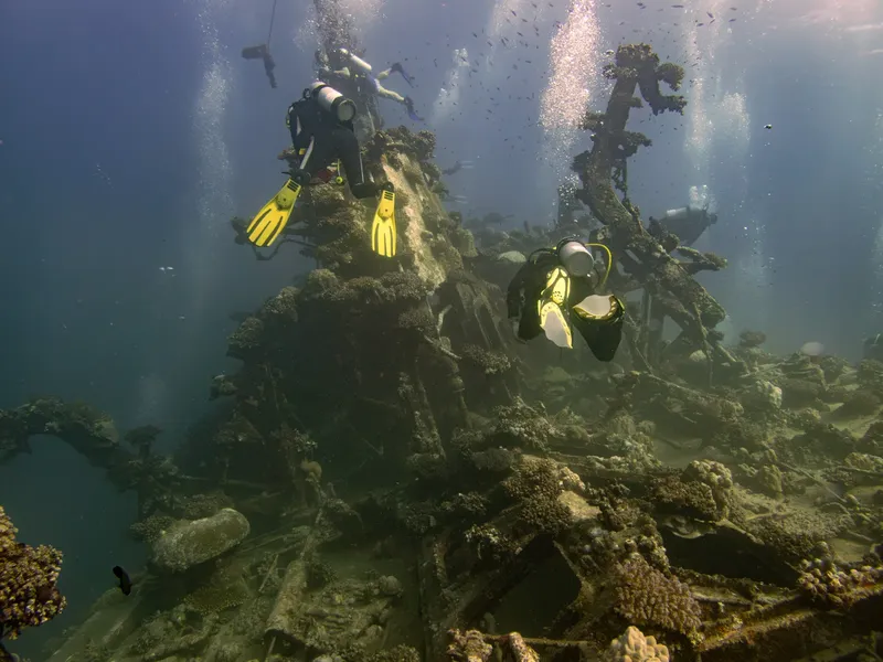 Deux plongeurs explorent une épave recouverte de coraux et de vie marine