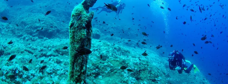 Plongeurs explorant un récif rocheux avec de nombreux poissons bleus