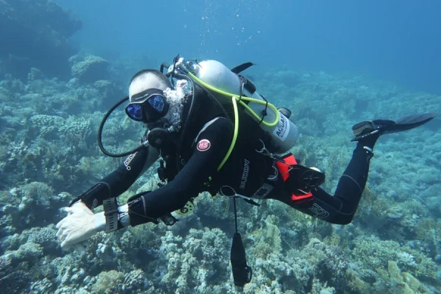 Plongeur en combinaison explore un récifal corallien sous l'eau