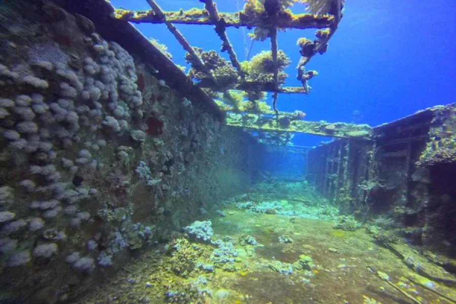 Épave recouverte de coraux et de vie marine sous l'eau