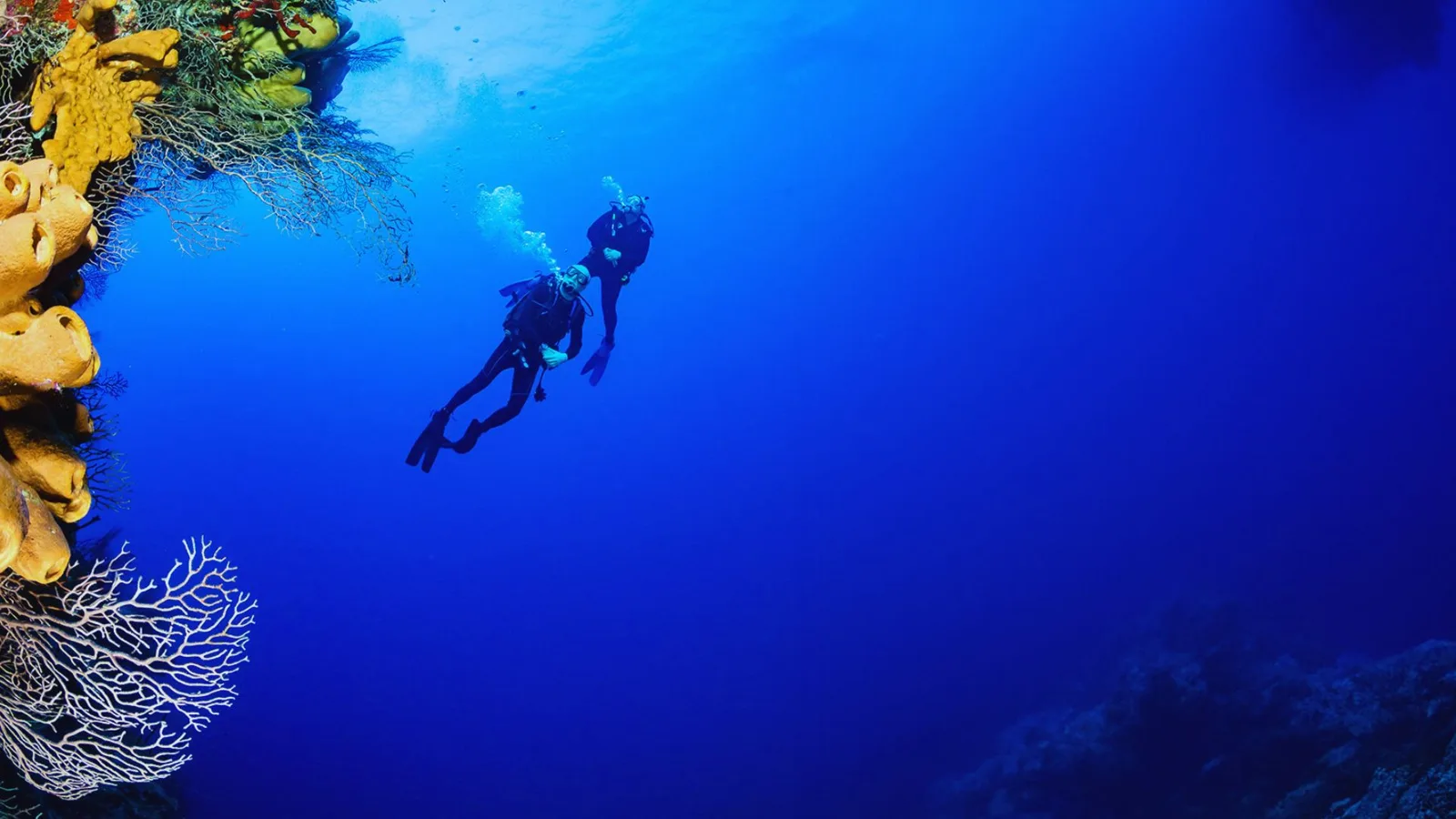 Tauchen Hurghada Dive | Scuba Diving Center in Hurghada, PADI Courses