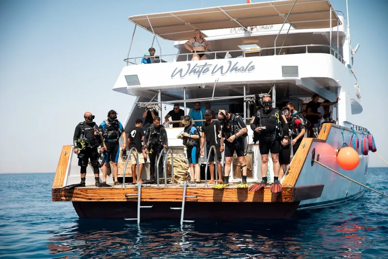 Groupe de plongeurs équipés sur le pont d'un bateau en mer