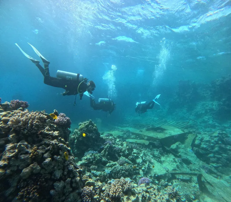 Trois plongeurs explorent un récif corallien en eau bleue claire
