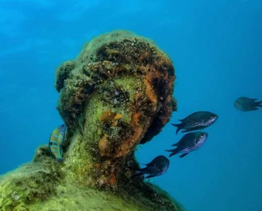 Statue antique submergée, colonisée par la vie marine et les poissons