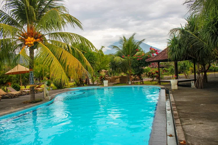 Piscine turquoise entourée de végétation tropicale et de chaises longues