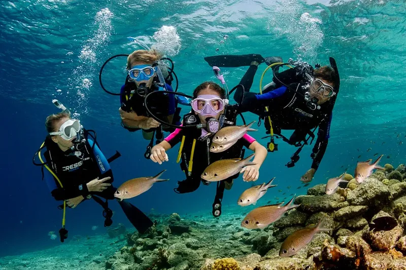 Groupe de plongeurs souriants interagissant avec des poissons colorés