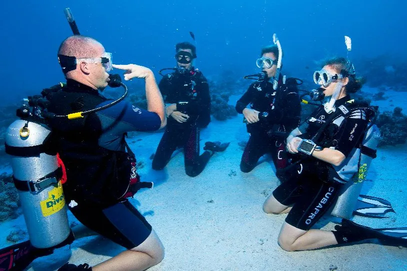 Quatre plongeurs en combinaison discutent sous l'eau sur fond sableux