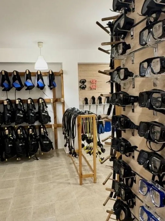 Equipement de plongée complet : masques, détendeurs, gilets, prêt pour l'exploration
