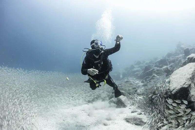 Plongeur en combinaison noire nageant au milieu d'un banc de poissons