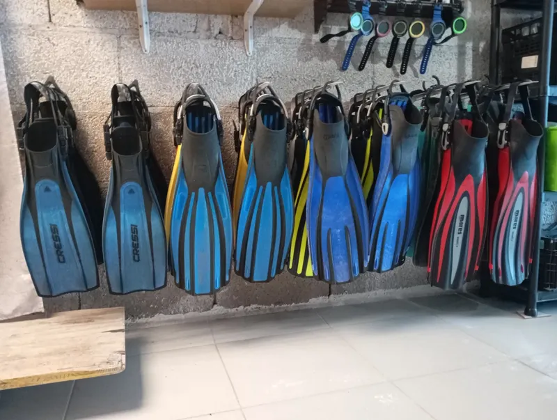 Rangée de palmes de plongée colorées accrochées au mur d'un local