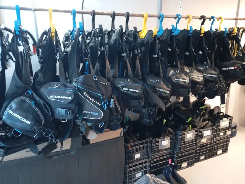 Rangées de gilets stabilisateurs et détendeurs prêts pour la plongée