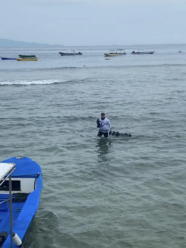 Plongueur entrant dans l'eau avec son équipement sur une plage