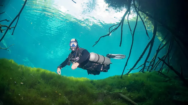 Plongeur en combinaison explore un milieu aquatique avec végétation