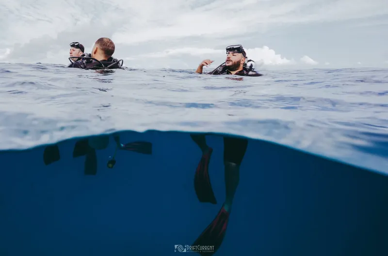 Plongueurs à la surface de l'eau, vue moitié aérienne moitié sous-marine