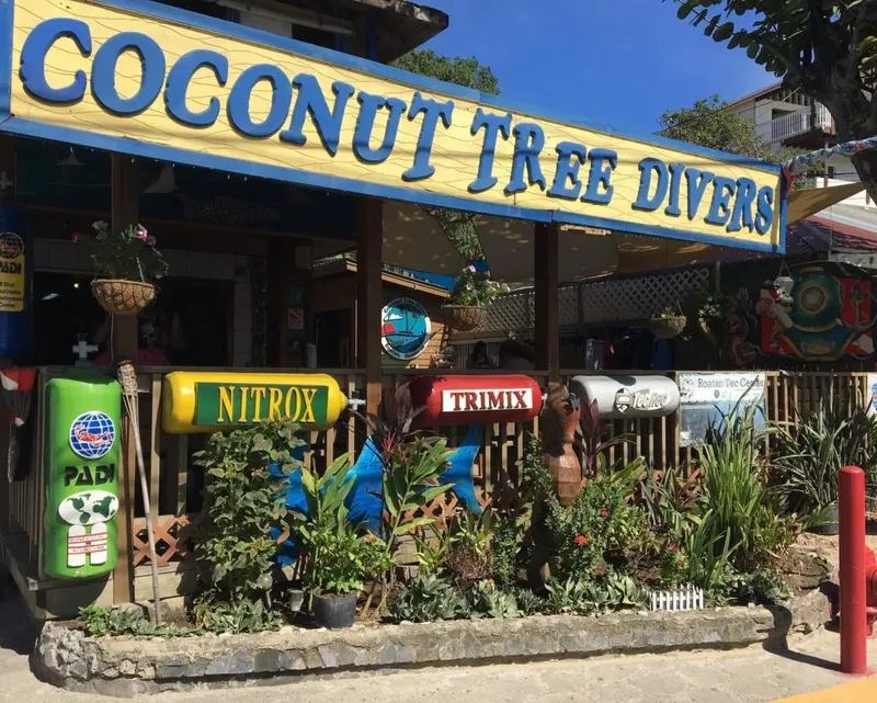 Façade d'un centre de plongée avec enseigne, bouteilles et végétation tropicale